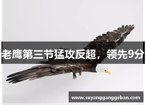 老鹰第三节猛攻反超，领先9分